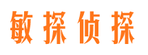 八道江市私家侦探公司